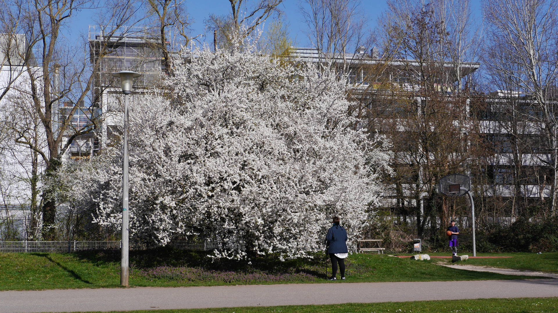 Frühlingsanfang