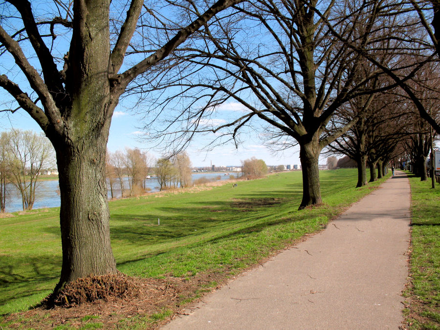 Frühlingsanfang am Rhein