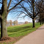 Frühlingsanfang am Rhein