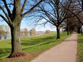 Frühlingsanfang am Rhein von Günter Walther 