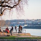 Frühlingsanfang am Rhein / Mainz-Kastel 2011