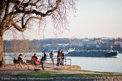 Frühlingsanfang am Rhein / Mainz-Kastel 2011