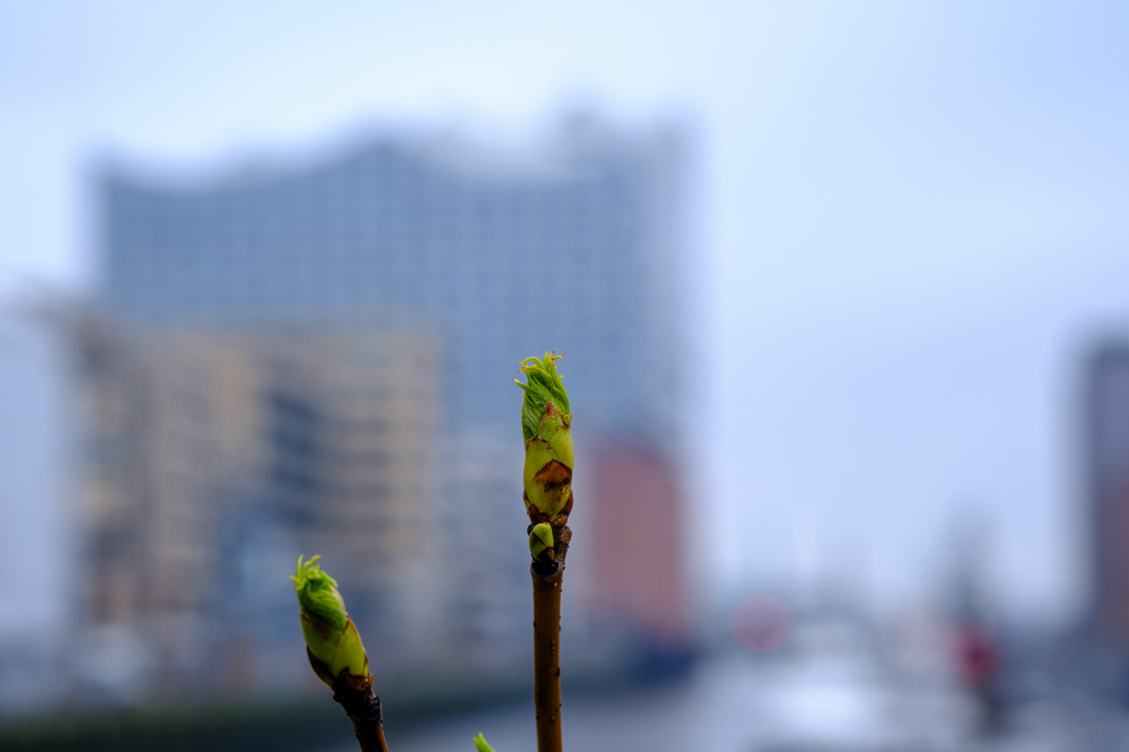 Frühlingsanfang an der Elbphilharmonie