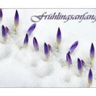 Frühlingsanfang