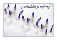 Frühlingsanfang