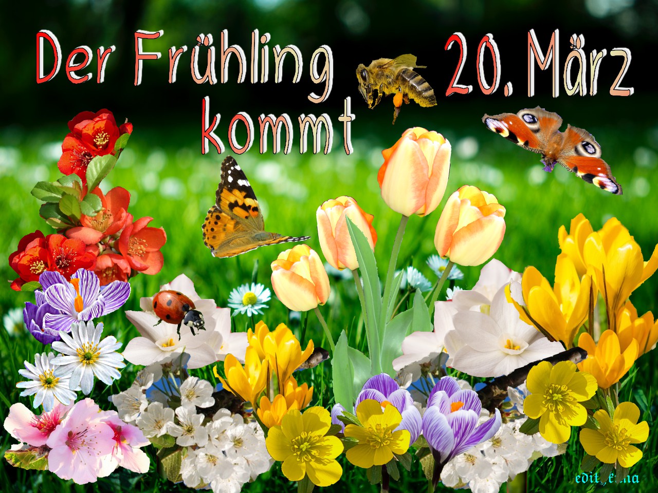 Frühlingsanfang