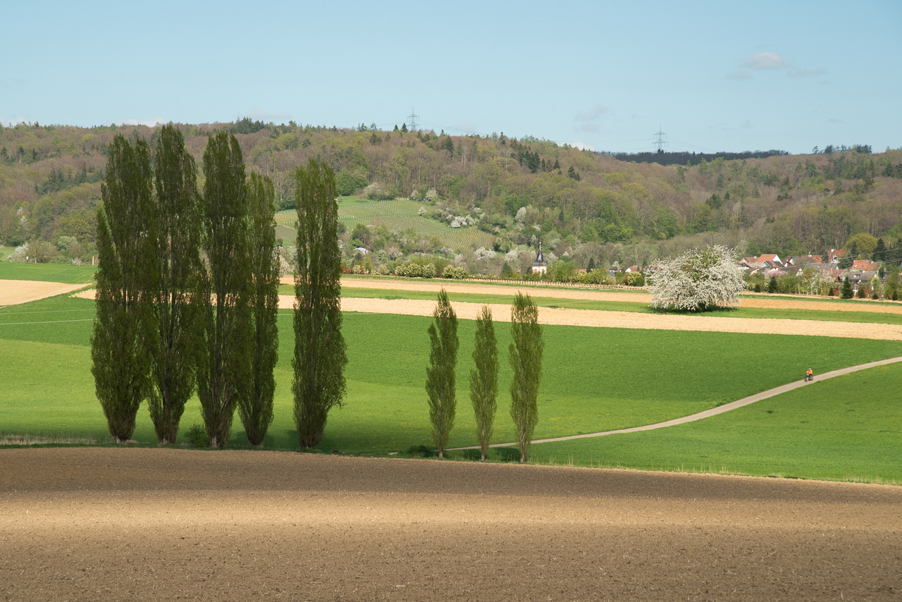 Frühlingsanfang