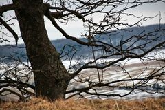 Frühlingsanfang im Erzgebirge