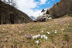 Frühlingsanfang im Knuttental