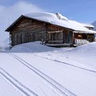 Frühlingsanfang im Schnee