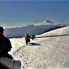 Frühlingsanfang in Chile