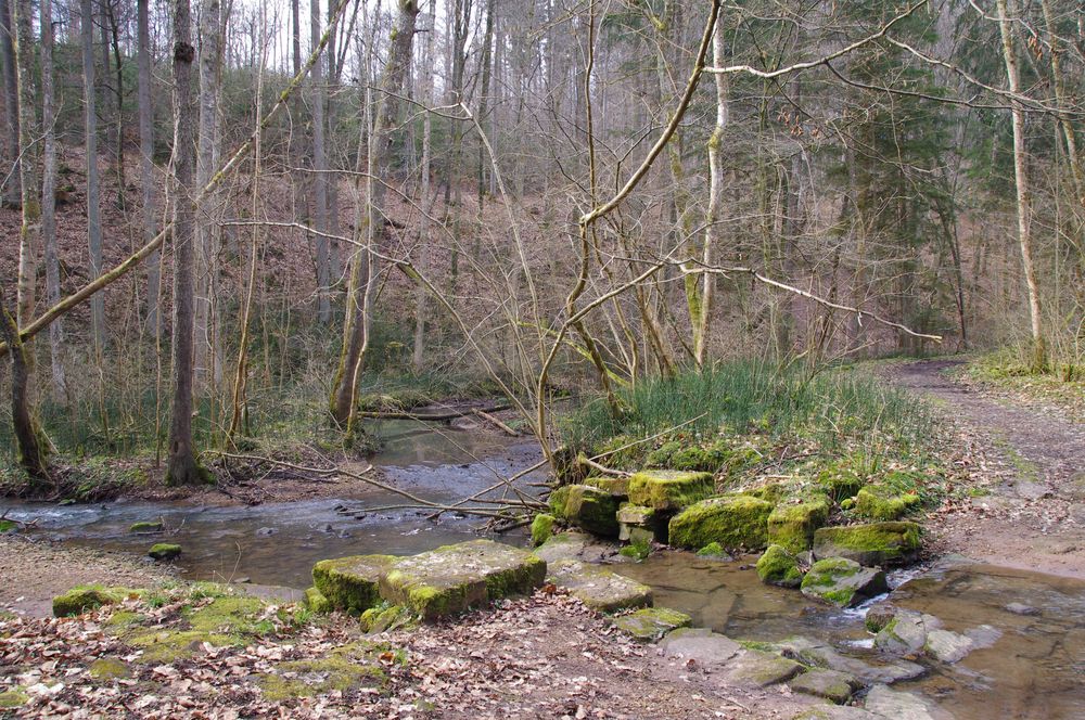 frühlingsanfang in der teufelsklinge