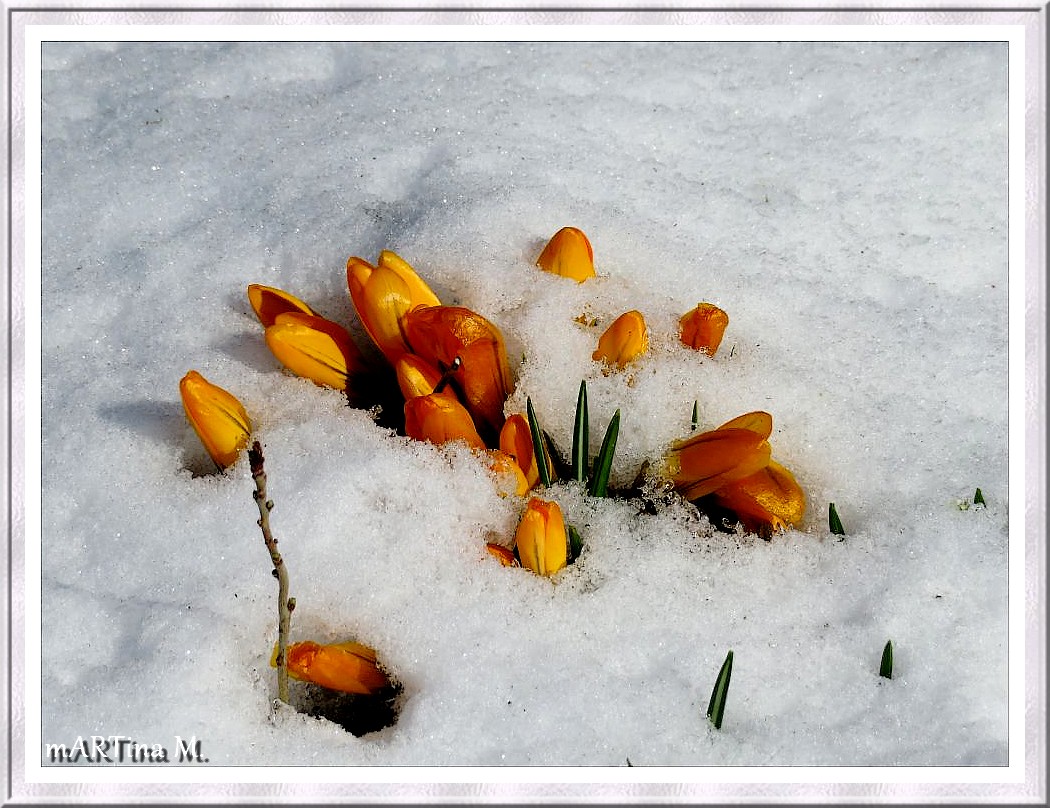 Frühlingsanfang?  (mit Gedicht)