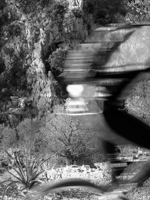 Frühlingsanfang - und die Insel ist voll von ...