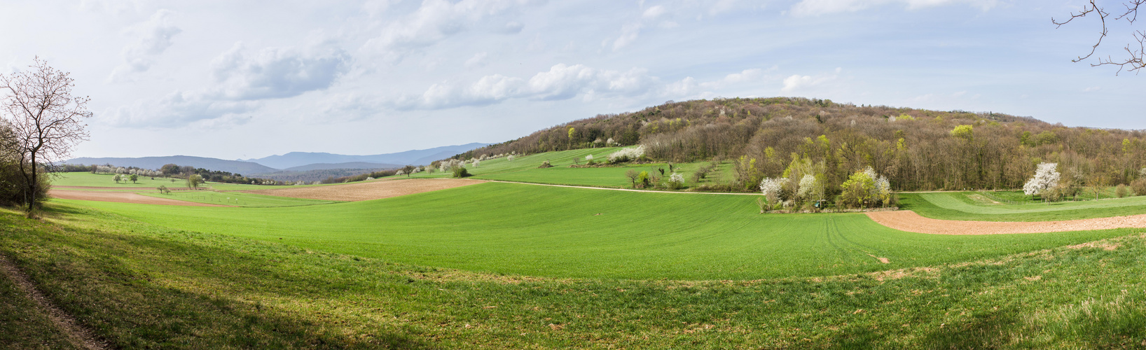 Frühlingsansichten