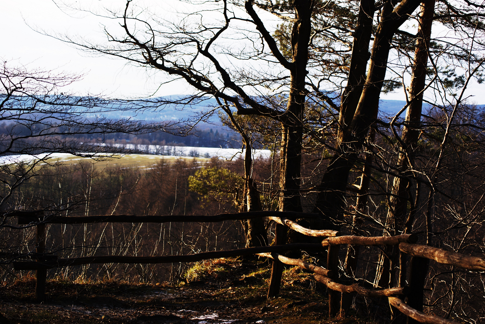 Frühlingsausblick