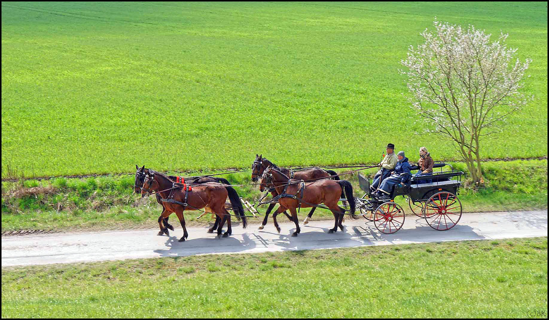 Frühlingsausfahrt im Vierspänner