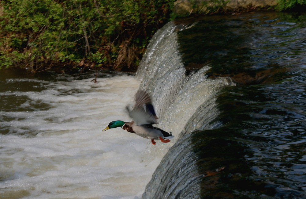 Frühlingsausflug