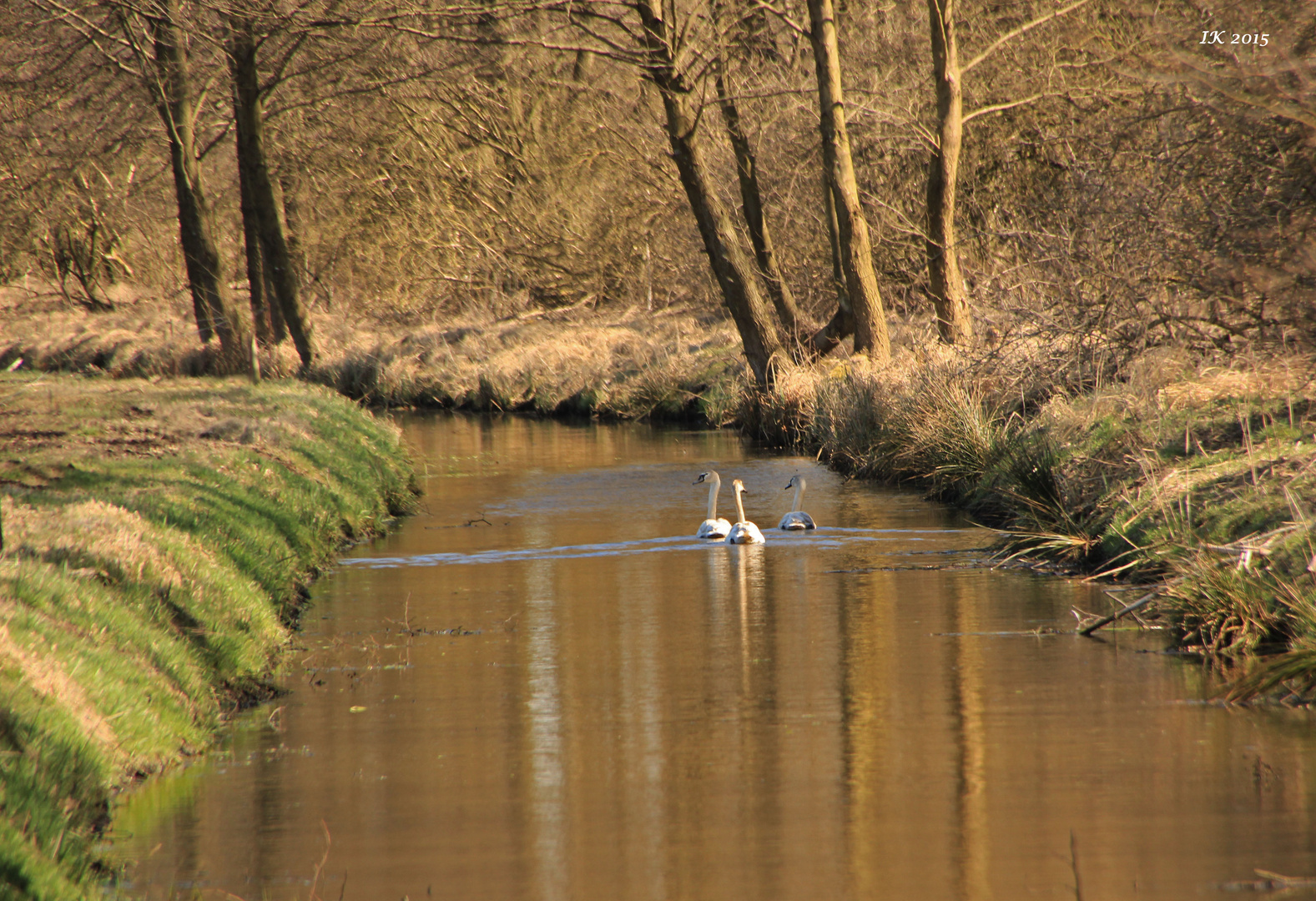 Frühlingsausflug