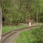 Frühlingsausflug mit dem HSB Triebwagen nach Eisfelder Talmühle 2.