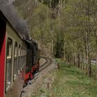 Frühlingsausflug mit der Harzquerbahn nach Drei Annen Hohne 2.