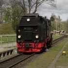 Frühlingsausflug mit der Harzquerbahn nach Drei Annen Hohne 3.