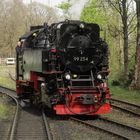 Frühlingsausflug mit der Harzquerbahn nach Drei Annen Hohne 5.