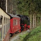 Frühlingsausflug mit der Harzquerbahn zurück nach Nordhausen 2.