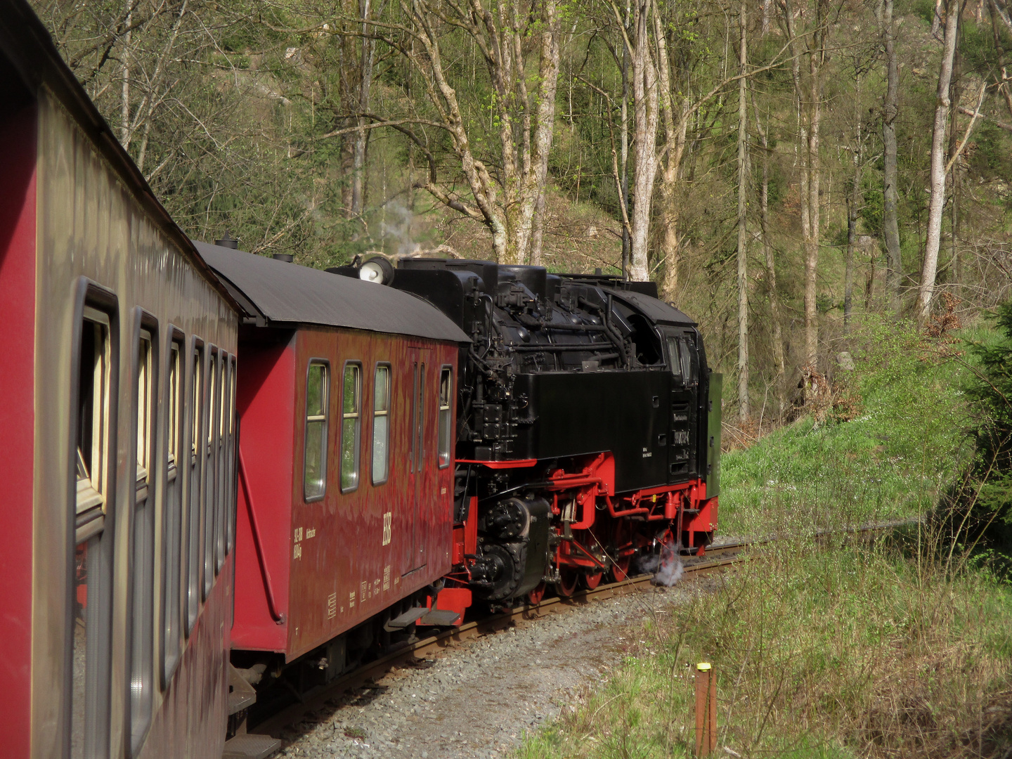 Frühlingsausflug mit der Harzquerbahn zurück nach Nordhausen 3.