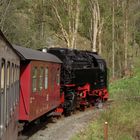 Frühlingsausflug mit der Harzquerbahn zurück nach Nordhausen 3.