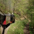 Frühlingsausflug mit der HSB nach Wernigerode 1.