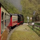 Frühlingsausflug mit der HSB nach Wernigerode 2.