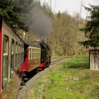 Frühlingsausflug mit der HSB nach Wernigerode 3.