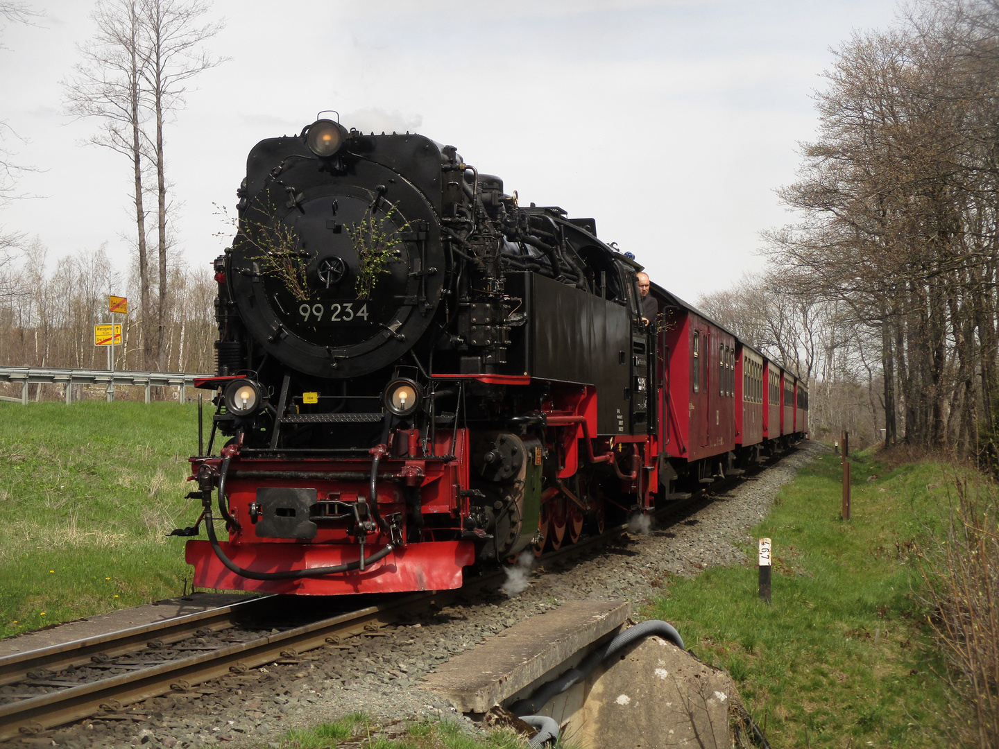 Frühlingsausflug mit der HSB nach Wernigerode 4.