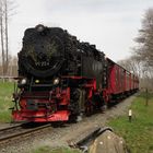 Frühlingsausflug mit der HSB nach Wernigerode 4.