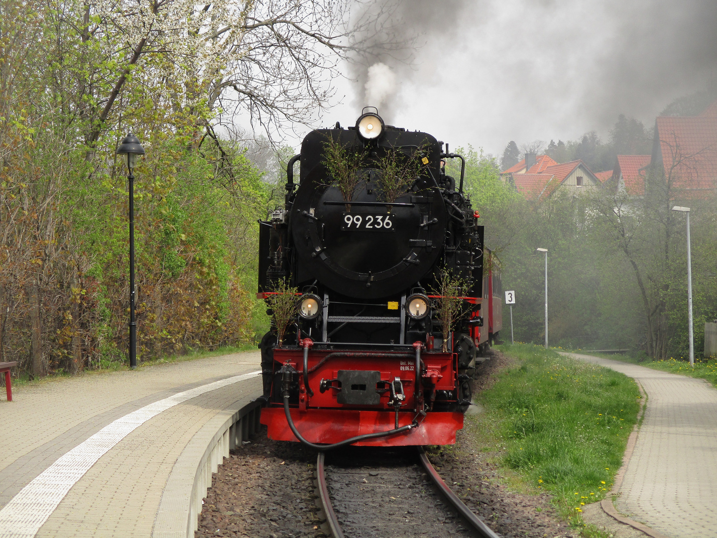 Frühlingsausflug mit der HSB nach Wernigerode 7.