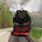 Frühlingsausflug mit der HSB nach Wernigerode 7.