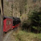 Frühlingsausflug mit der HSB zurück nach Nordhausen 3.