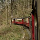 Frühlingsausflug mit der HSB zurück nach Nordhausen 4.