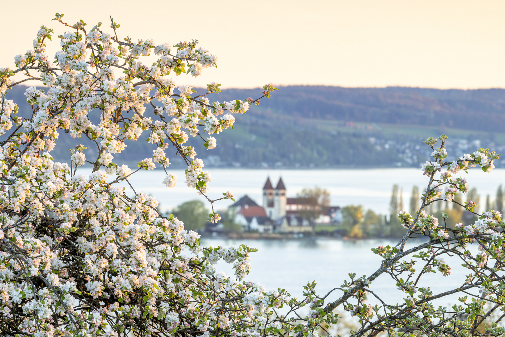 Frühlingsaussicht