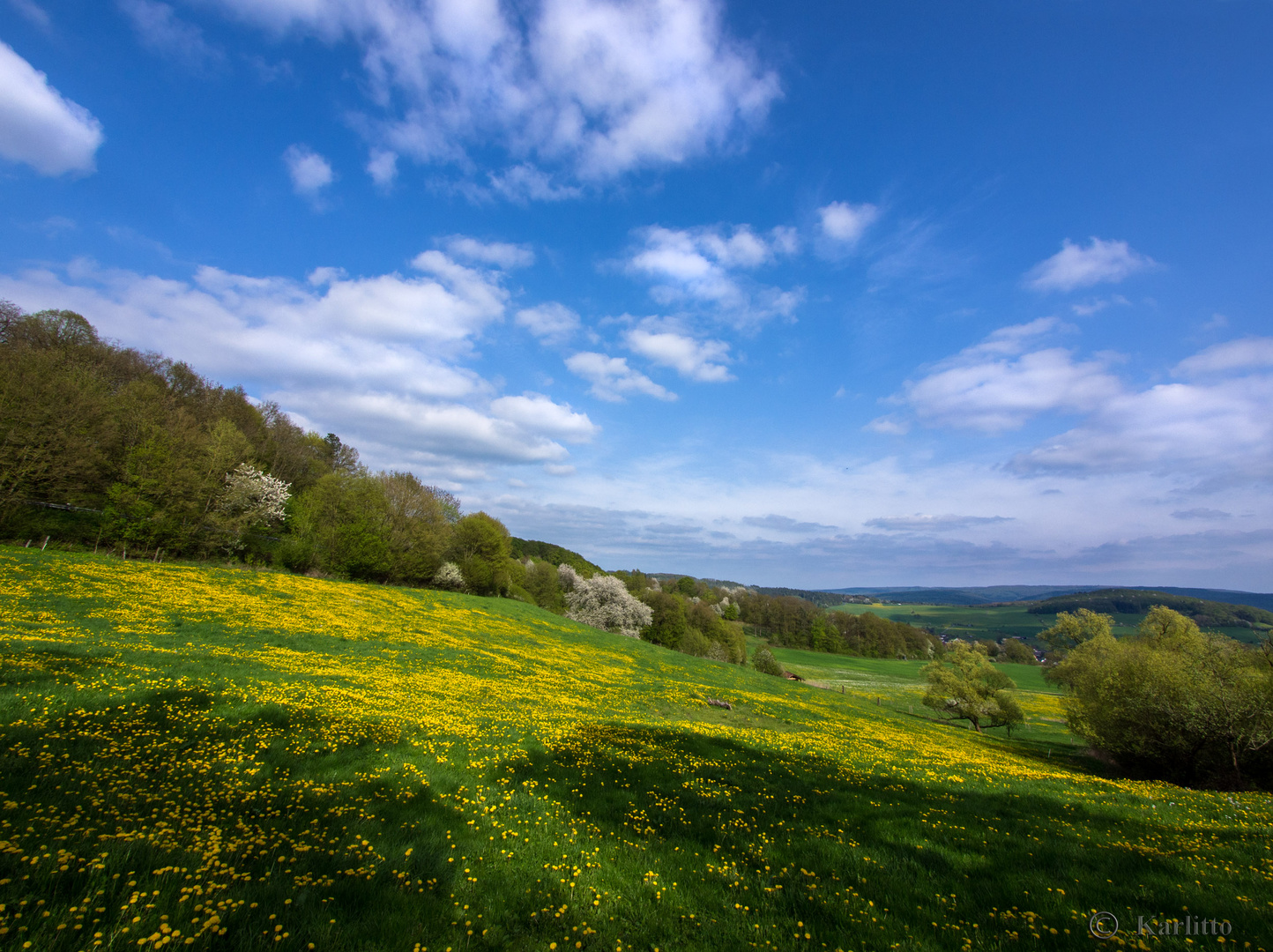 Frühlingsaussichten 2013