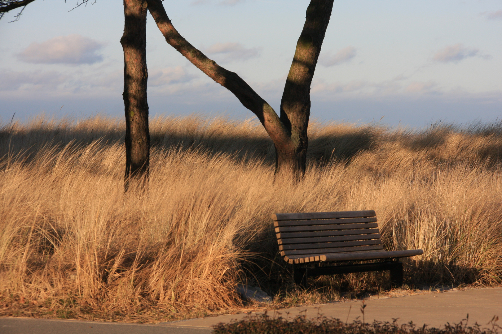 frühlingsbank am meer