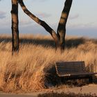 frühlingsbank am meer