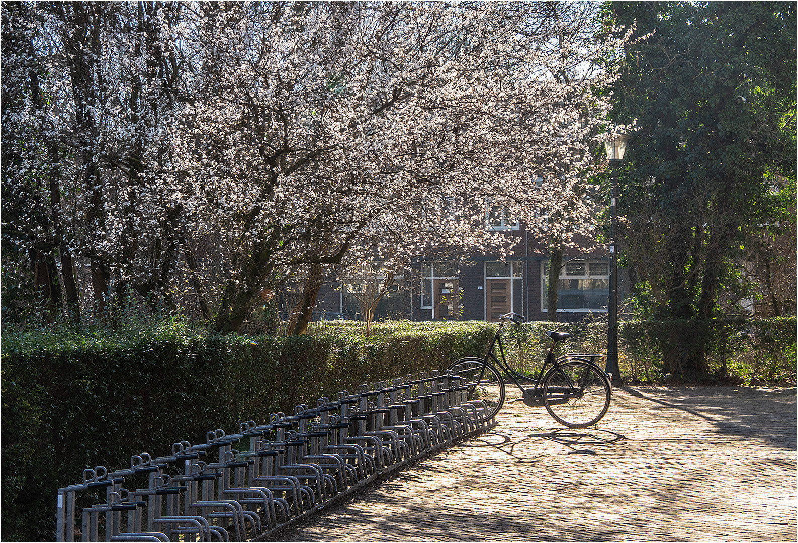 Frühlingsbeginn