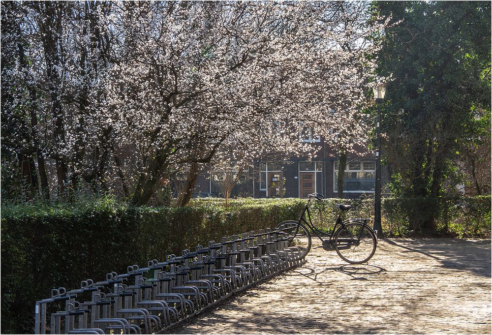 Frühlingsbeginn