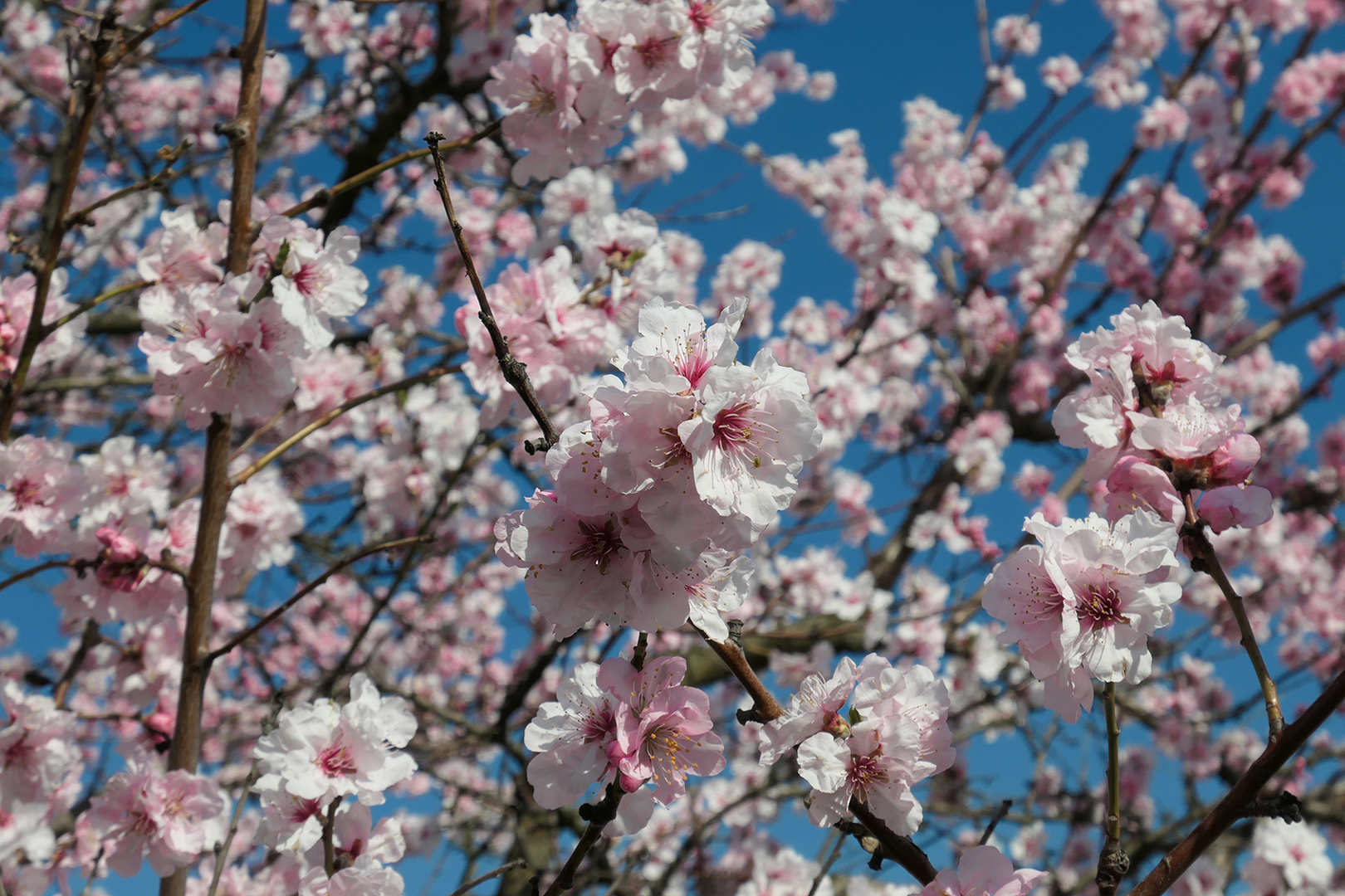 Frühlingsbeginn 2019