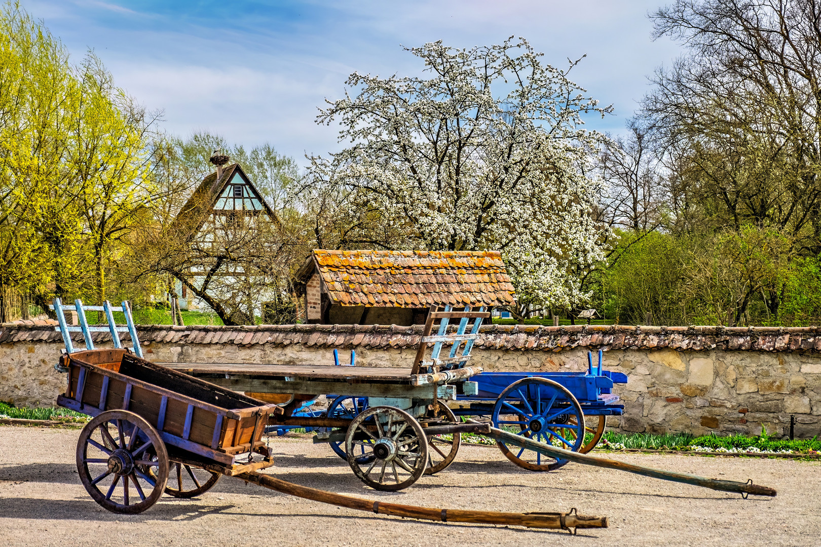 Frühlingsbeginn