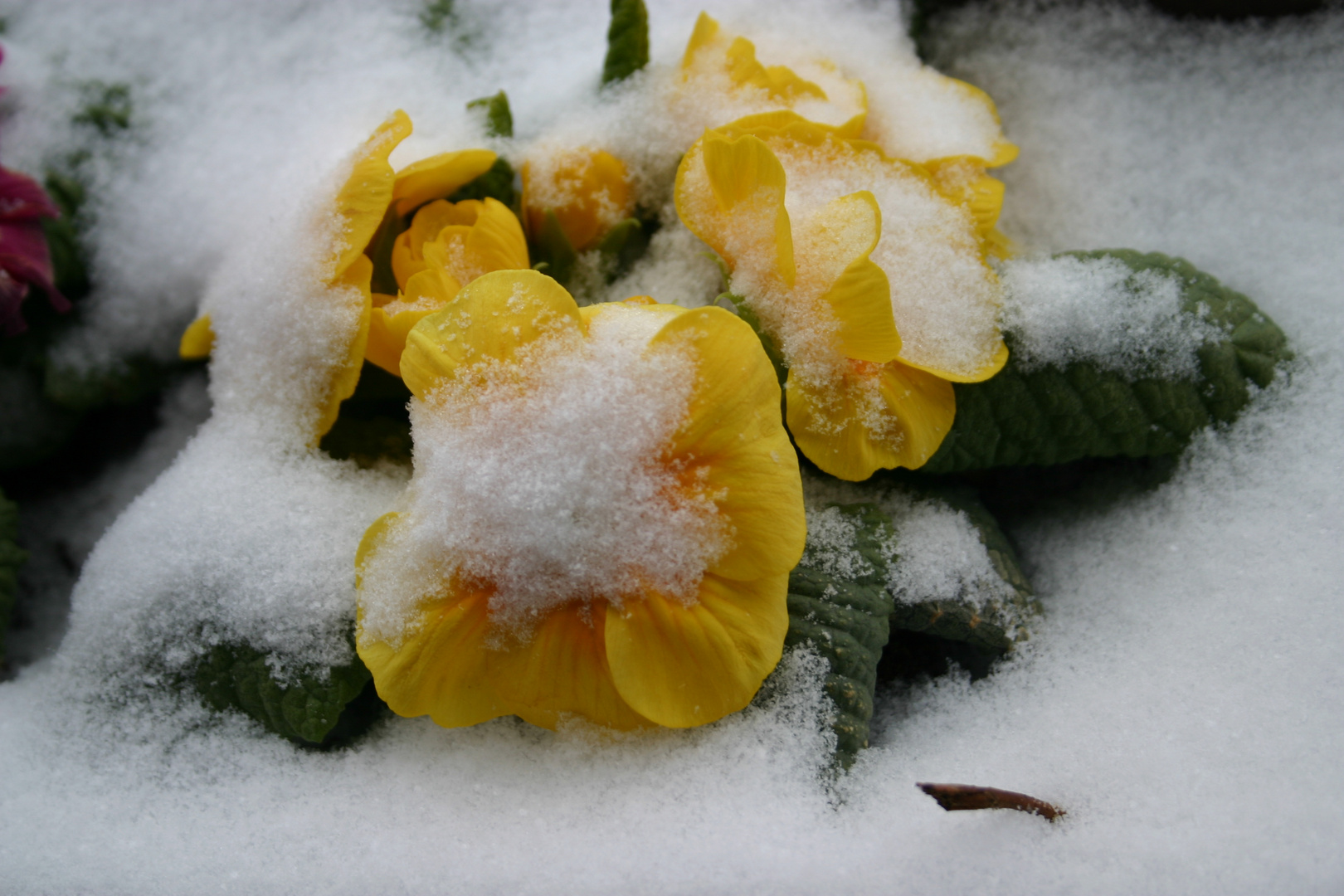 Frühlingsbeginn