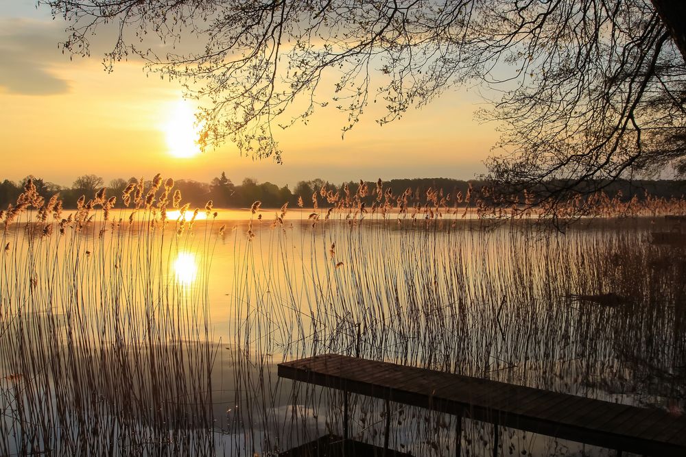 Frühlingsbeginn