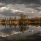 Frühlingsbeginn am Erlensee